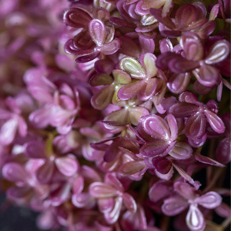 Abigail Ahern -Artificial Hortensia Bunch