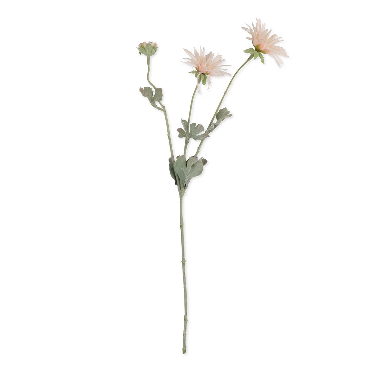 Abigail Ahern -Artificial Chrysanthemum, Blush