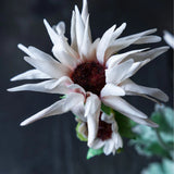 Abigail Ahern -Artificial Chrysanthemum, Blush