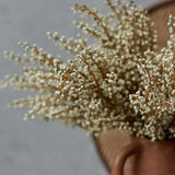Abigail Ahern - Heather Cream Stem