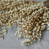Abigail Ahern - Heather Cream Stem