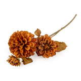 Dahlia - Burnt Orange