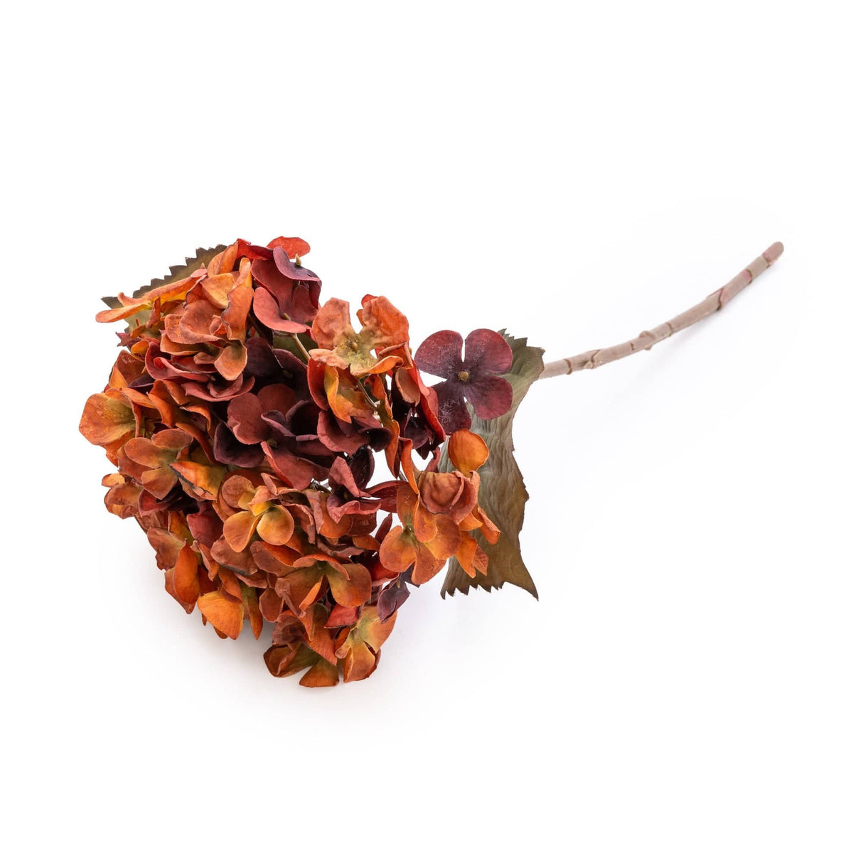 Single Hydrangea Two Tone Burnt Orange Faux Stem 46cm