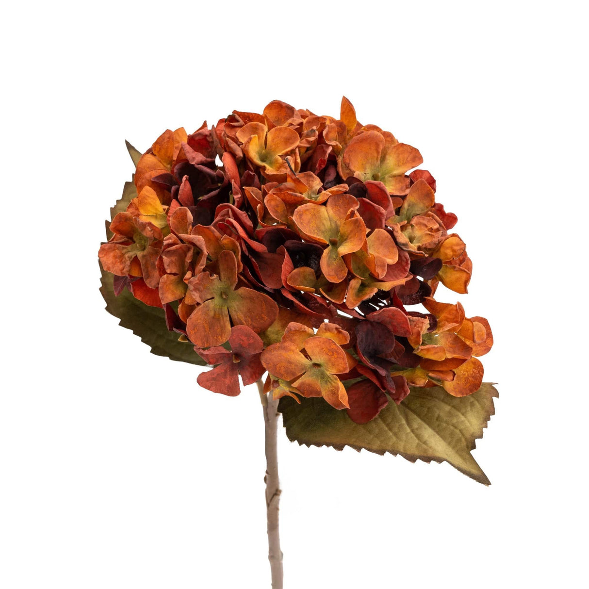 Single Hydrangea Two Tone Burnt Orange Faux Stem 46cm