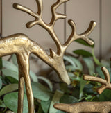 Woodland Set of 2 Metal Reindeer Gold
