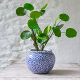 Rustic Planter Athena Medium