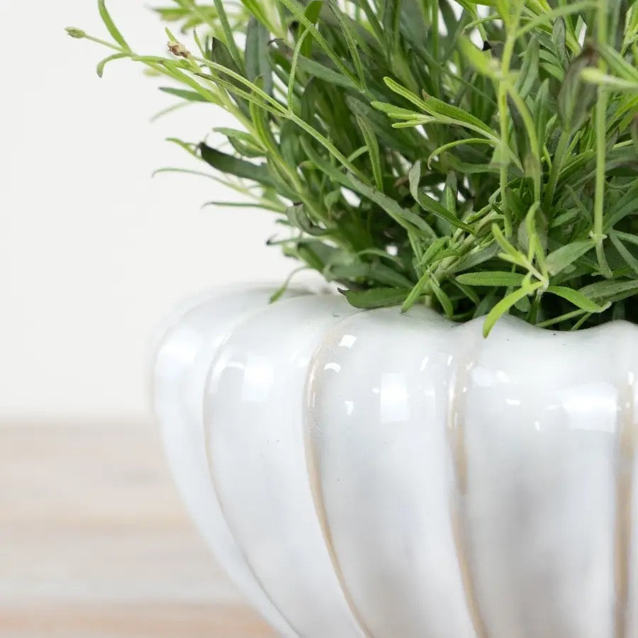 Mika Pot, bowl/vase  - 2 colours