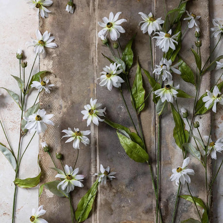 Artificial Wild Cosmos - Abigail Ahern