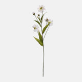 Artificial Wild Cosmos - Abigail Ahern