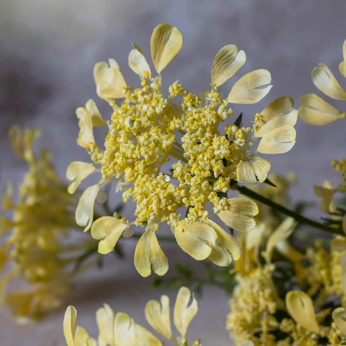 Artificial Wild Dill - Abigail Ahern
