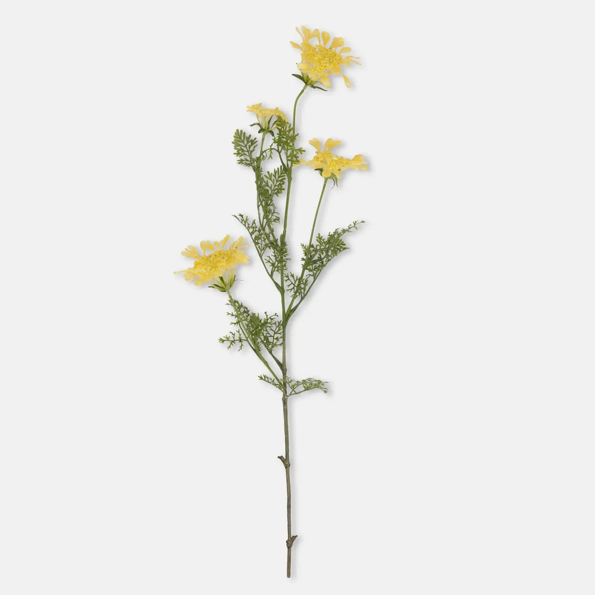 Artificial Wild Dill - Abigail Ahern