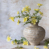 Artificial Wild Dill - Abigail Ahern