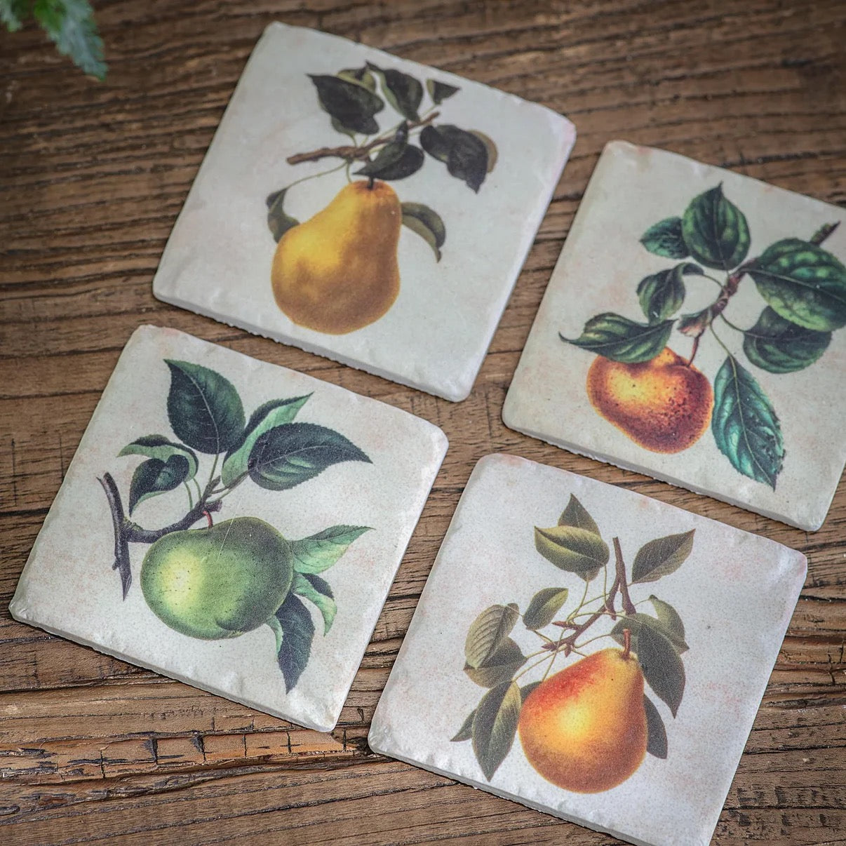 COLTON APPLE AND PEAR COASTERS