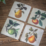 COLTON APPLE AND PEAR COASTERS