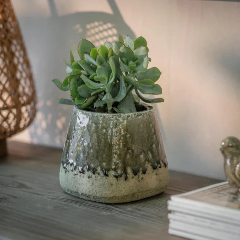 LODSWORTH TAPERED POT