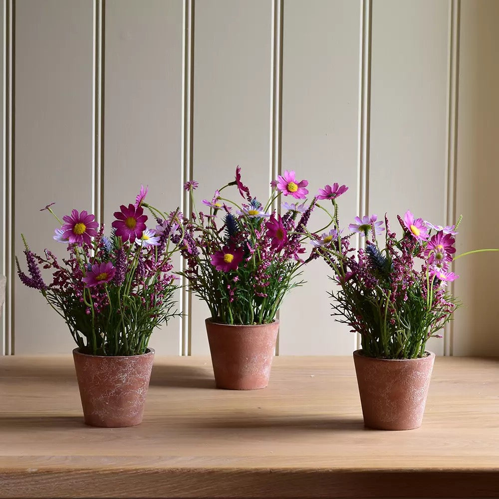 Wildflowers in Pot Pink