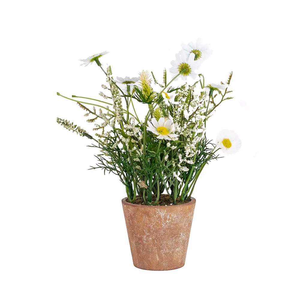 Wildflowers in Pot White