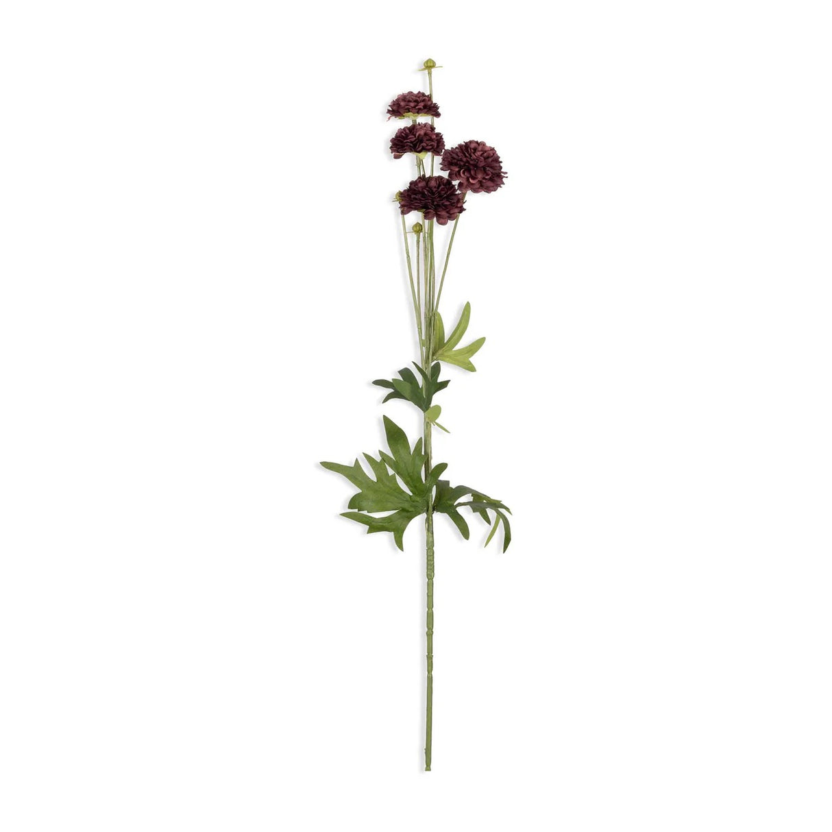 Artificial Clove Stem - Abigail Ahern