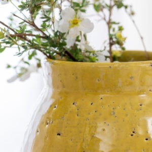 Glazed Jug Dijon