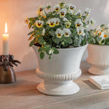 Hinton Planter - 2 sizes