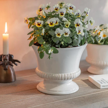 Hinton Planter - 2 sizes