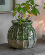 BERRINGTON RIBBED POT