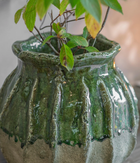 BERRINGTON RIBBED POT