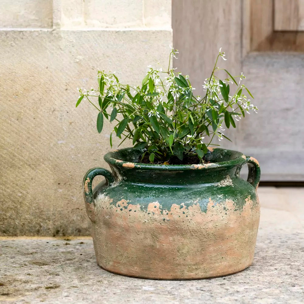 Terracotta Pot Green