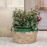 Terracotta Pot Green