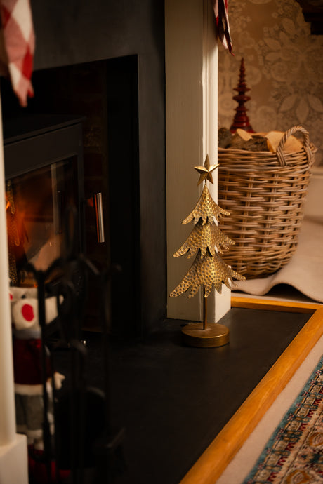 Gold Iron Tree, 53cm