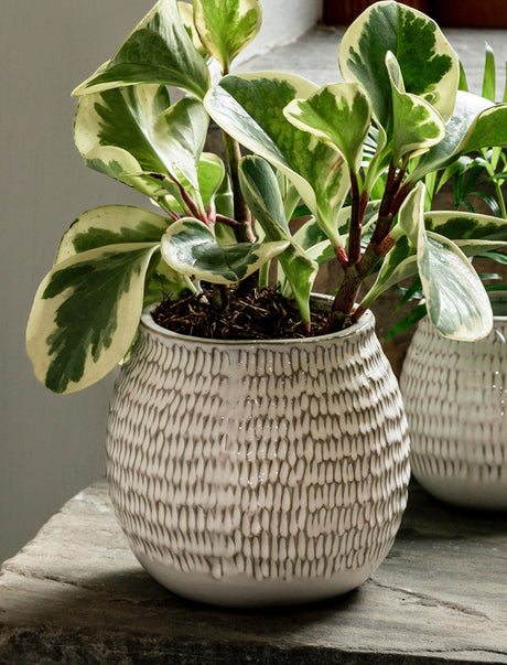 Garden Trading Winkleigh Pot 2 sizes