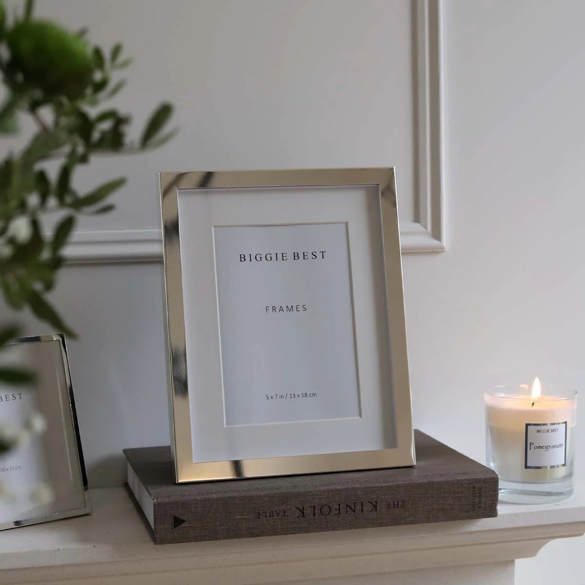 5X7 WIDE BORDER SILVER FRAME