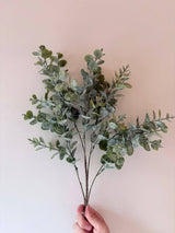 Gum Drop Eucalyptus Stem