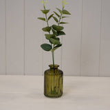 Olive Green Ribbed Glass Bottle
