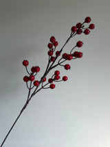 Red Berry Stem