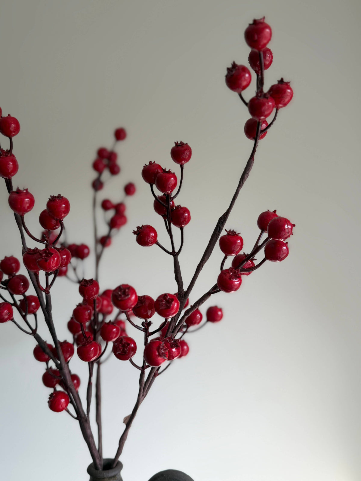 Red Berry Stem