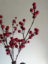 Red Berry Stem
