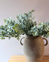 Gum Drop Eucalyptus Stem