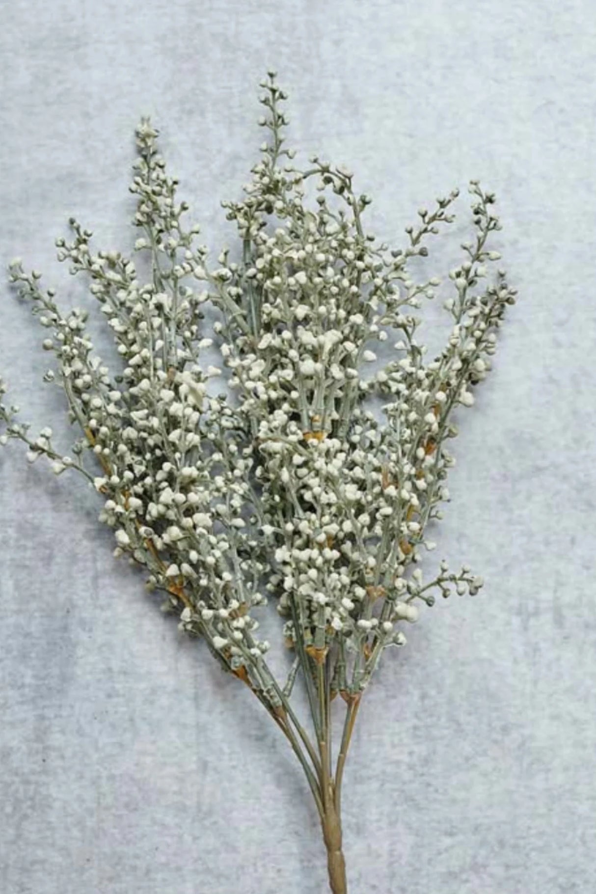 Abigail Ahern - Heather Sage