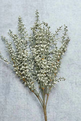 Abigail Ahern - Heather Sage