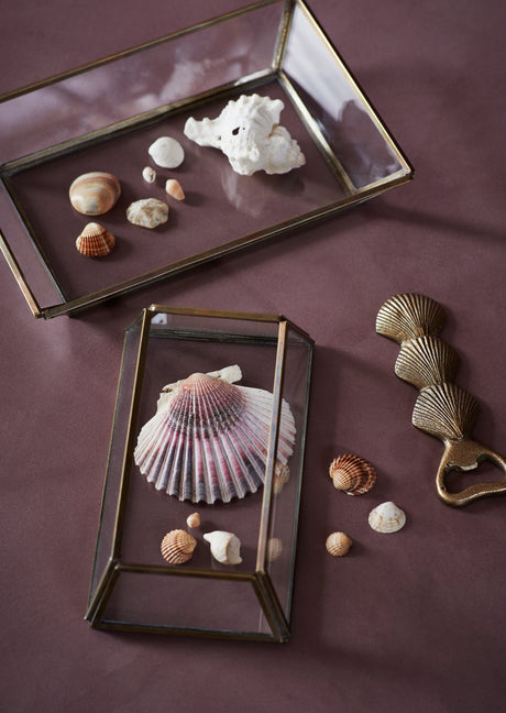 Glass Trays Set/2