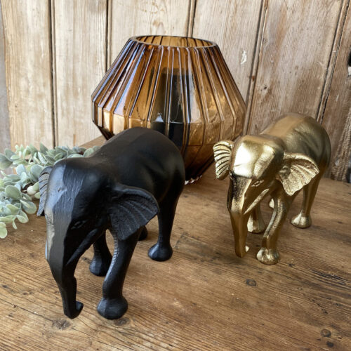 Elephant Black, Ornamental