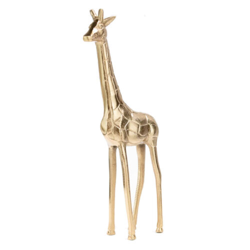 Giraffe Gold, Ornamental